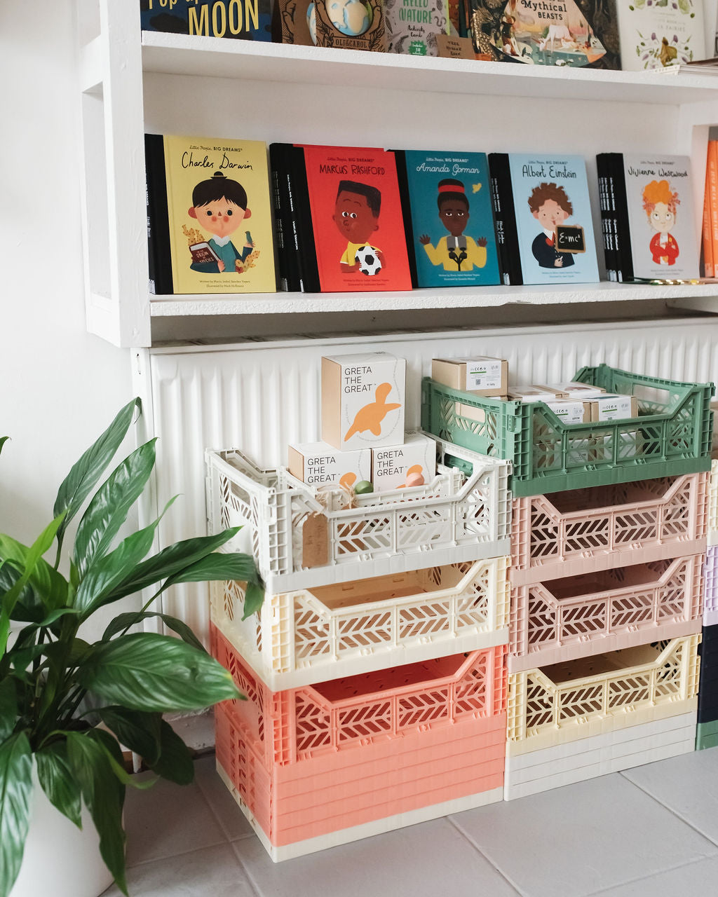 STORAGE