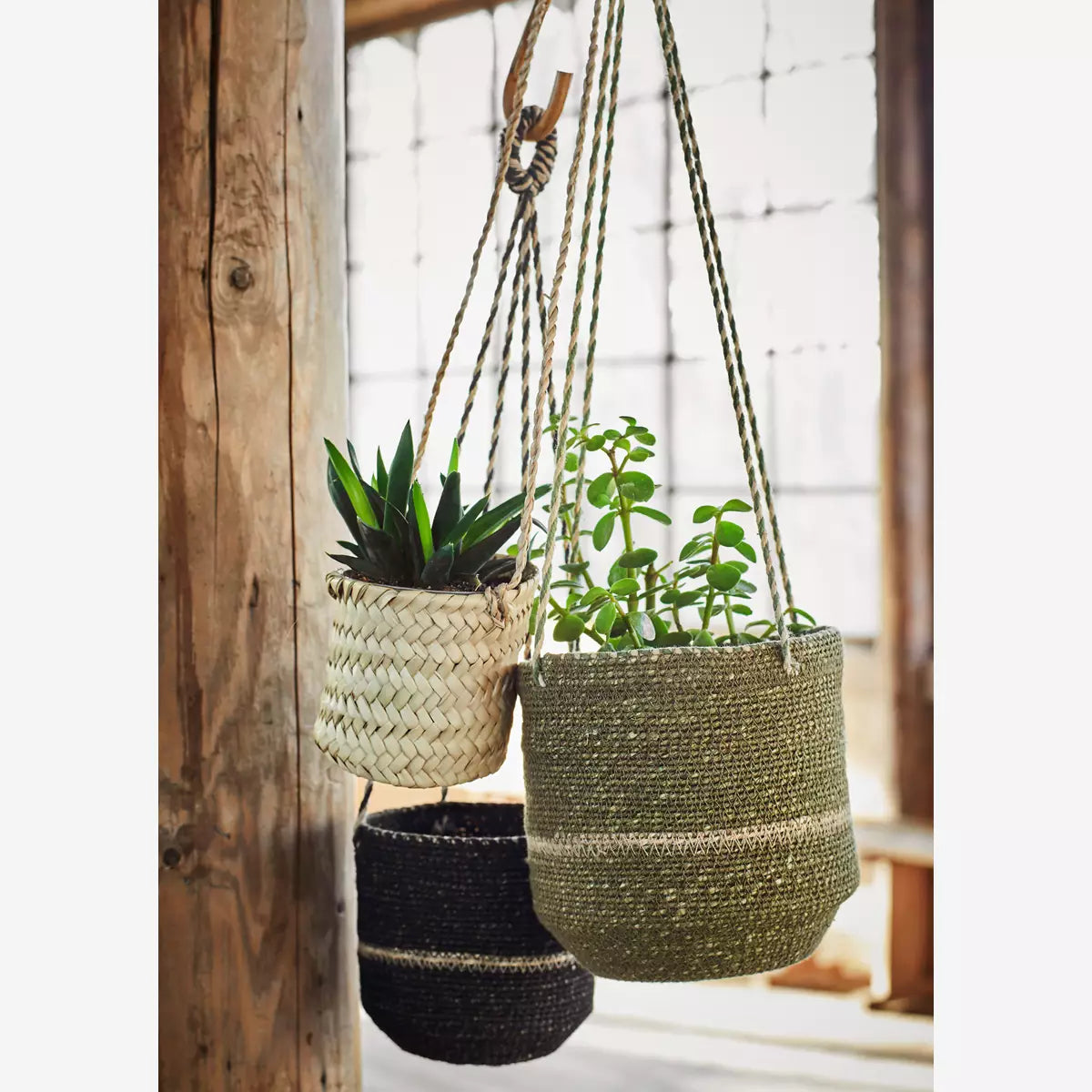 Interiors image of the straw basket with a succulent planted inside it. Alongside it are two other similar woven baskets of varying sizes. They are hung together in a window.